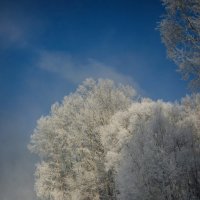 Мороз у Иртыша. :: Виктор Гришенков