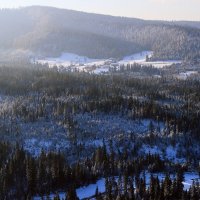 Даль :: Андрей Николаевич Незнанов