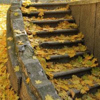 Лестница в осень :: Эдуард Цветков