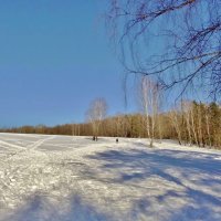 на лисьей горе :: Валентина. .