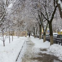 Улица зимой :: Юрий Стародубцев
