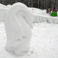 Снежный птнгвин :: Владимир Болдырев
