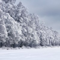 Зимний пейзаж :: Юрий Дмитриенко