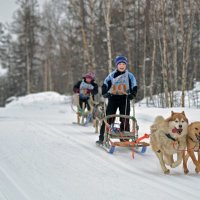 Нас не догонят! :: Юрий Приходько