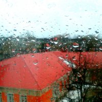 За окном дождь... :: Александр 