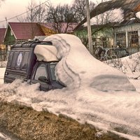 Зимовье. (рабочее название - подснежник) :: Евгений Поляков