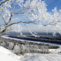 Зимняя сказка у Никольской горы :: Любовь 