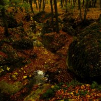 Ручей засыпаный листвой. :: Yoris2012 Lp.,by >hbq/