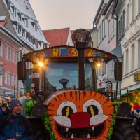 Faschingsumzug Kaufbeuren 2015 :: Vladimir Urbanovych