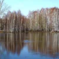 Весна в лесостепи :: Василий Аникеев