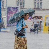 дождь :: Николай Таран 
