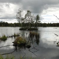 Озеро в  Лепсари :: Елена Павлова (Смолова)