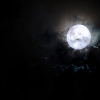 Bad moon rising :: Сергей Nikon