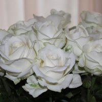 Белые розы :: Mariya laimite