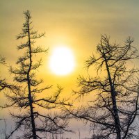 Северное солнце :: евгений Смоленцев