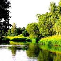 Река Дубна в среднем течении :: alek48s 