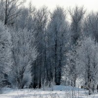 Зима :: Владимир Зеленцов