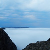Туман :: Валентина Папилова