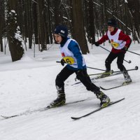 Лыжные гонки. :: Александр Корнейчев