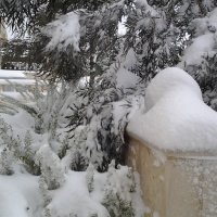 И снова зима! :: Жанна Викторовна