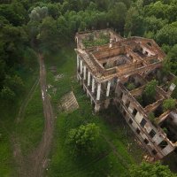 Руины Ропшинского дворца :: Николай Т