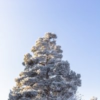 На вершине :: Андрей Баськов