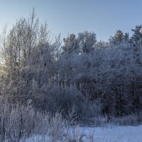 Как в сказке :: Андрей Баськов