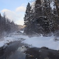 Таежная деревушка :: Владимир Собардахов