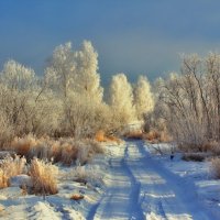 Зимняя дорога :: Maxim Agafonoff