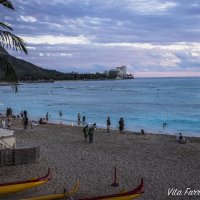 Honolulu - Waikiki :: Vita Farrar
