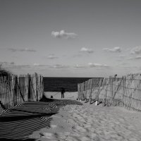 забор, океан и небо, и с кляксой на поводке... :: Misha McD