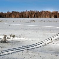 Пробегали сани-самокаты... :: Юрий 