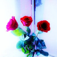 Ремонт и розы :: Светлана Лысенко