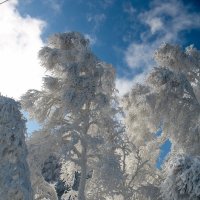 Зима :: Андрей Краснов