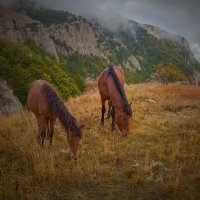 Крым. :: Евсей Крымский.