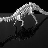 Скелет динозавра :: Konstantin 