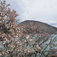 крымская весна :: марина 