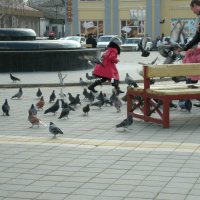 Кормление голубей :: Alexander Borisovsky