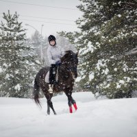 ## :: Александр Ломов