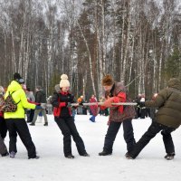 На старт, внимание, марш! :: Oxana Krepchuk