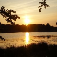 закат на озере Увильды :: александр 