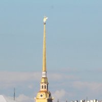 Шпиль Петропавловского собора в Санкт-Петербурге :: Фотогруппа Весна