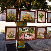 Картины цветов из лепестков цветов :: Владимир Болдырев