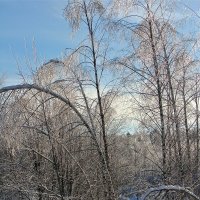 Зима :: Larisa Simonenkova