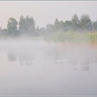 Утро в молочном тумане :: Валерий Талашов