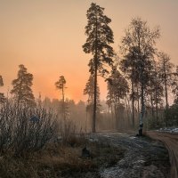 утро :: Александр Тулупов