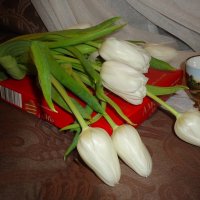 Белые тюльпаны - Жизни возрожденье Или воплощенье Нежной чистоты. :: Galina Dzubina