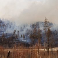 пожар :: Сергей Сол
