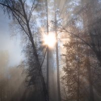 Прорыв через туман :: Владимир Веселов