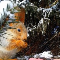 Когда нет под рукой зеркалки :: Евгений Камынин